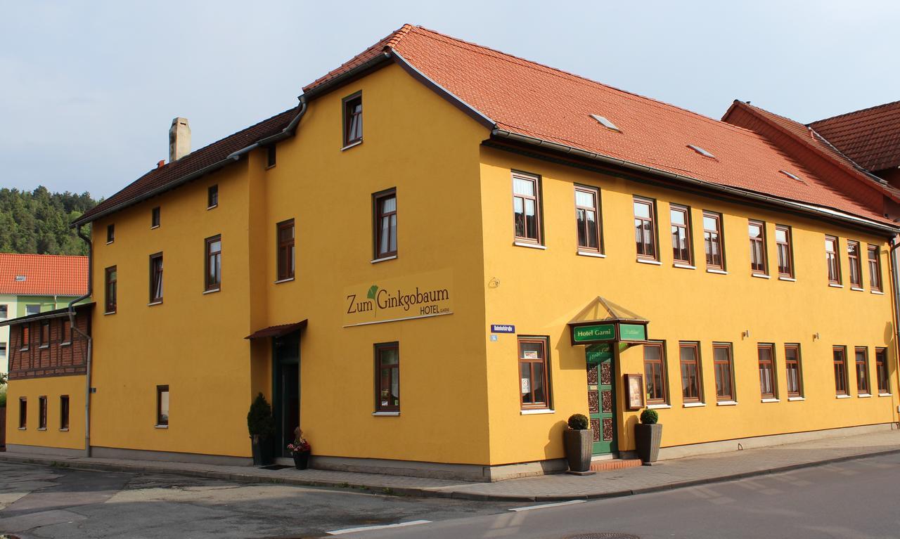 Zum Ginkgobaum Hotell Stadtilm Exteriör bild